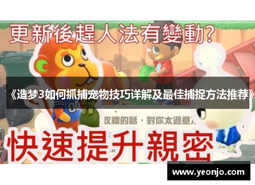 《造梦3如何抓捕宠物技巧详解及最佳捕捉方法推荐》