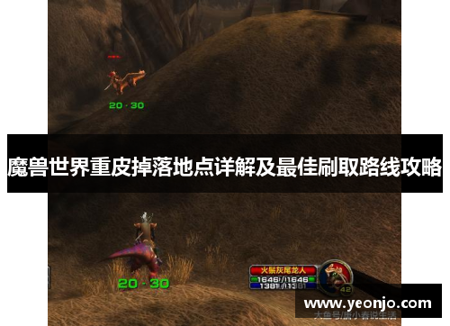 魔兽世界重皮掉落地点详解及最佳刷取路线攻略