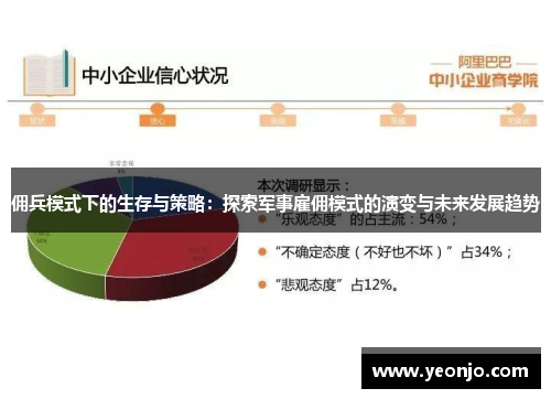佣兵模式下的生存与策略：探索军事雇佣模式的演变与未来发展趋势